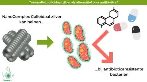 TraumaPet Colloïdaal zilver als alternatief voor antibiotica