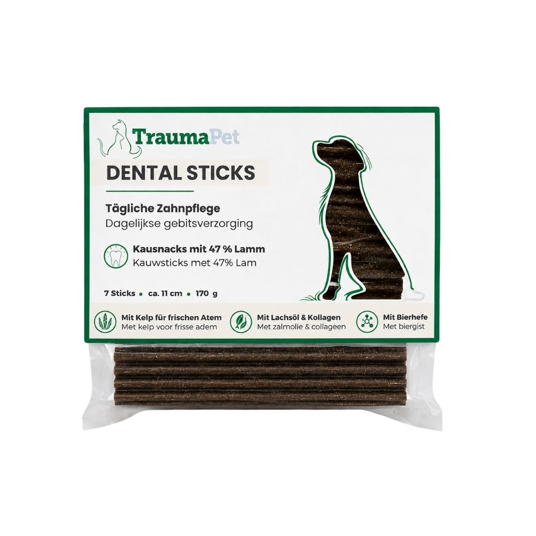 Hond die kauwt op TraumaPet dental sticks — ondersteunt natuurlijke reiniging van tanden en zorgt voor een frisse adem bij dagelijks gebruik.